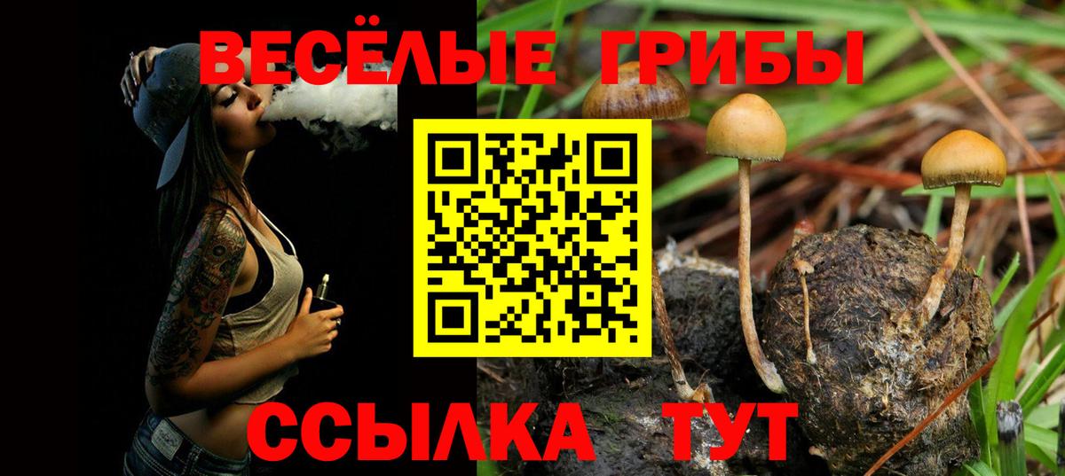 Галлюциногенные грибы ЛСД Барнаул