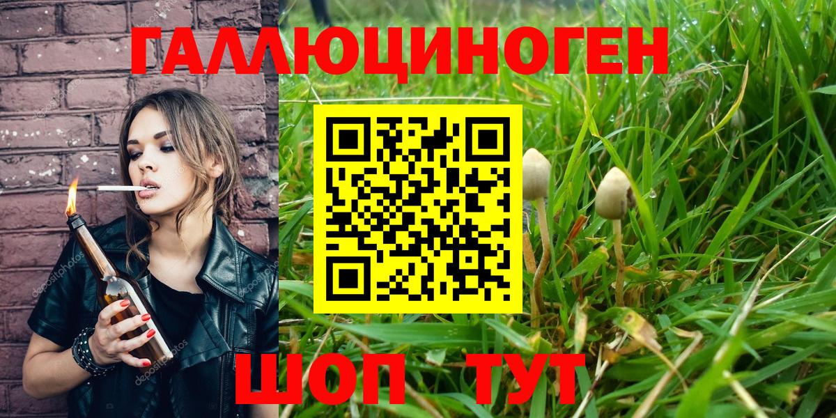 Галлюциногенные грибы Psilocybine cubensis  Вход с VPN  Барнаул 